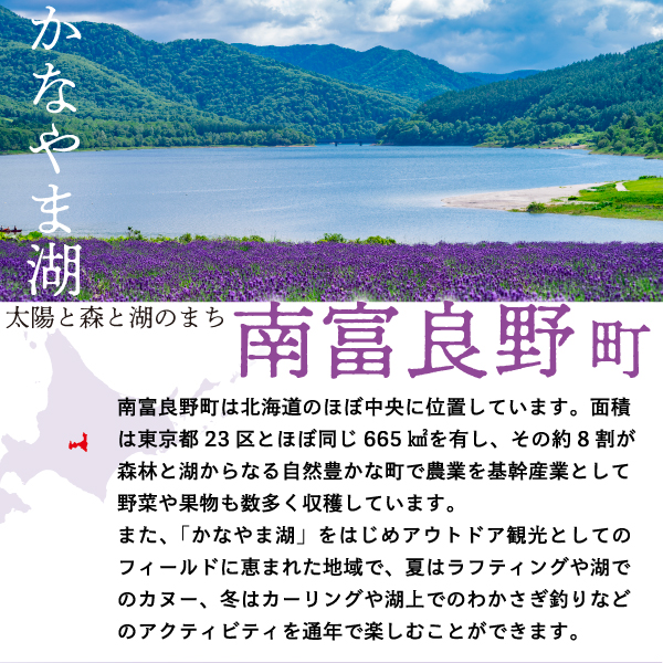 北海道南富良野町のふるさと納税 2025年夏発送  メロン 北海道 ふらの 赤肉メロン 約2.5kg×1玉 JAふらの 厳選 産地直送 赤肉 富良野メロン フルーツ 果物 果実 旬 旬のくだもの デザート おやつ めろん 富良野