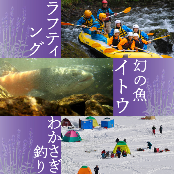 北海道南富良野町のふるさと納税 2025年夏発送  メロン 北海道 ふらの 赤肉メロン 約2.5kg×1玉 JAふらの 厳選 産地直送 赤肉 富良野メロン フルーツ 果物 果実 旬 旬のくだもの デザート おやつ めろん 富良野