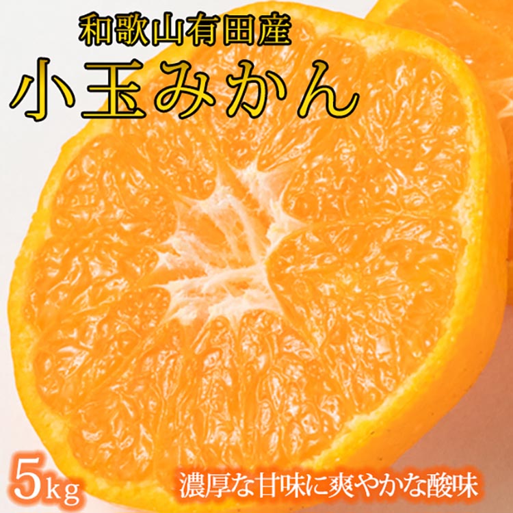 和歌山県美浜町のふるさと納税 有田の小玉みかん5kg(S～3Sサイズ混合)◇ ※2025年11月下旬〜2026年1月下旬頃に順次発送予定