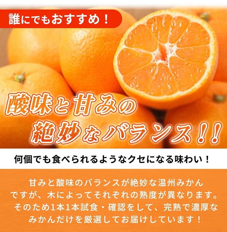 和歌山県美浜町のふるさと納税 有田の小玉みかん5kg(S～3Sサイズ混合)◇ ※2025年11月下旬〜2026年1月下旬頃に順次発送予定