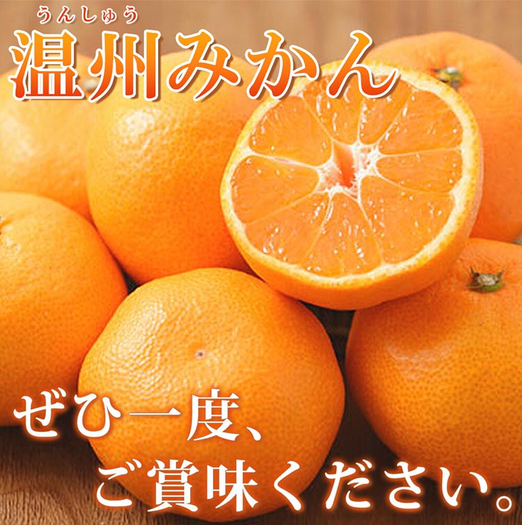 和歌山県美浜町のふるさと納税 有田の小玉みかん5kg(S～3Sサイズ混合)◇ ※2025年11月下旬〜2026年1月下旬頃に順次発送予定