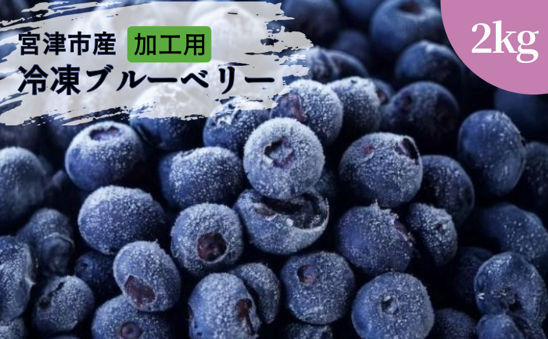 ys{{ÎszHp VYⓀu[x[2kg