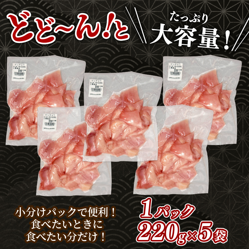 三重県南伊勢町のふるさと納税 （冷凍） 訳あり マグロ 鮪 切り落とし 1.1kg 220g × 5 パック 外湾漁業協同組合 国産マグロ 天然マグロ ビンチョウ キハダ メバチ クロ 刺身 刺し身 簡易包装 わけあり 魚 魚介 国産 天然 三重 南伊勢町 伊勢志摩