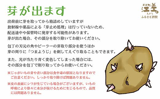 北海道江差町のふるさと納税 【令和7年2月発送予約】北海道産 越冬メークイン M・L混合 5kg　低温熟成　糖度アップ　農家直送　越冬じゃがいも　越冬いも　よく寝たいも　甘い　芋の塩煮にぴったり　訳あり　じゃがバター　いかの塩辛と一緒にどうぞ