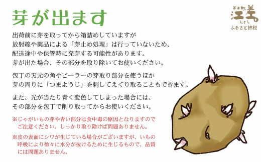 北海道江差町のふるさと納税 《期間限定》北海道産 メークイン 5kg M・L混合　しっとり甘い江差産　北海道のじゃがいも　芋の塩煮にぴったり　じゃがバター　いかの塩辛と一緒にどうぞ