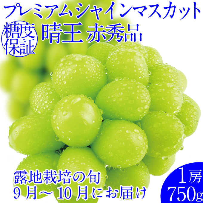 2025年予約受付中 プレミアムシャインマスカット晴王 1房約750g 人気 岡山県産 赤秀品 種無し 皮ごと食べる みずみずしい フレッシュ 晴れの国 おかやま 果物大国 ハレノフルーツ