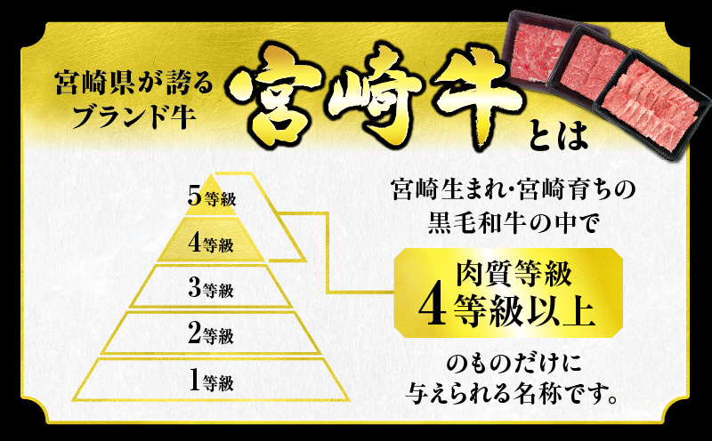 宮崎県日南市のふるさと納税 セゾン限定【令和7年1月配送】宮崎牛 赤身 霜降り 焼肉 3種 食べ比べ セット 合計900g 数量限定 肉 牛肉 黒毛和牛 国産 A4 A5 おすすめ 肩ロース モモ ウデ 食品 おかず 晩ご飯 お弁当 BBQ 焼き肉 贅沢 ご褒美 ギフト 贈り物 プレゼント 冷凍 選べる配送月 宮崎県 日南市 送料無料_CBV1-24-01