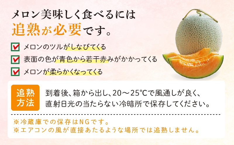 北海道富良野市のふるさと納税 【2025年8月～発送】北海道 富良野 メロン 約1.6kg×5玉入り (スイートベジタブルファクトリー) メロン フルーツ 果物 新鮮 甘い 贈り物 ギフト 道産 ジューシー おやつ ふらの ブランド 夏