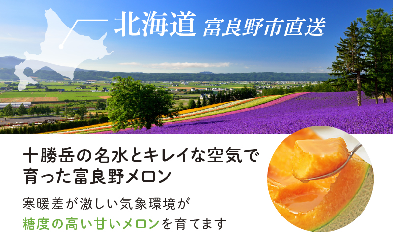 北海道富良野市のふるさと納税 【2025年7月下旬～発送】※訳あり※ 富良野 メロン 約4kg〈2玉～4玉入り〉北海道 富良野市(スイートベジタブルファクトリー) メロン フルーツ 果物 新鮮 甘い 贈り物 ギフト 道産 ジューシー おやつ ふらの ブランド 夏