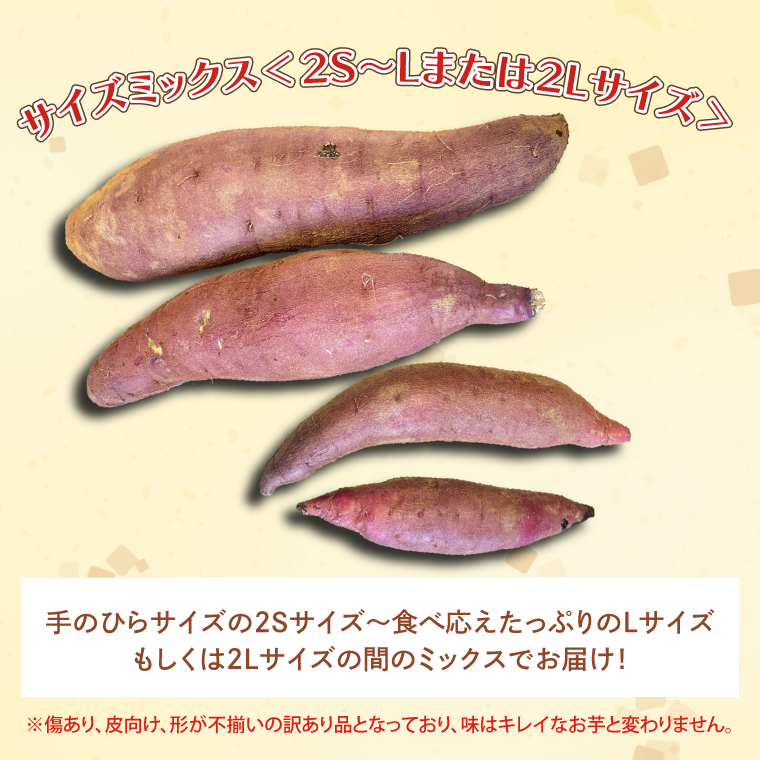 2025年12月より順次発送】茨城県産 紅はるか 訳あり サイズ