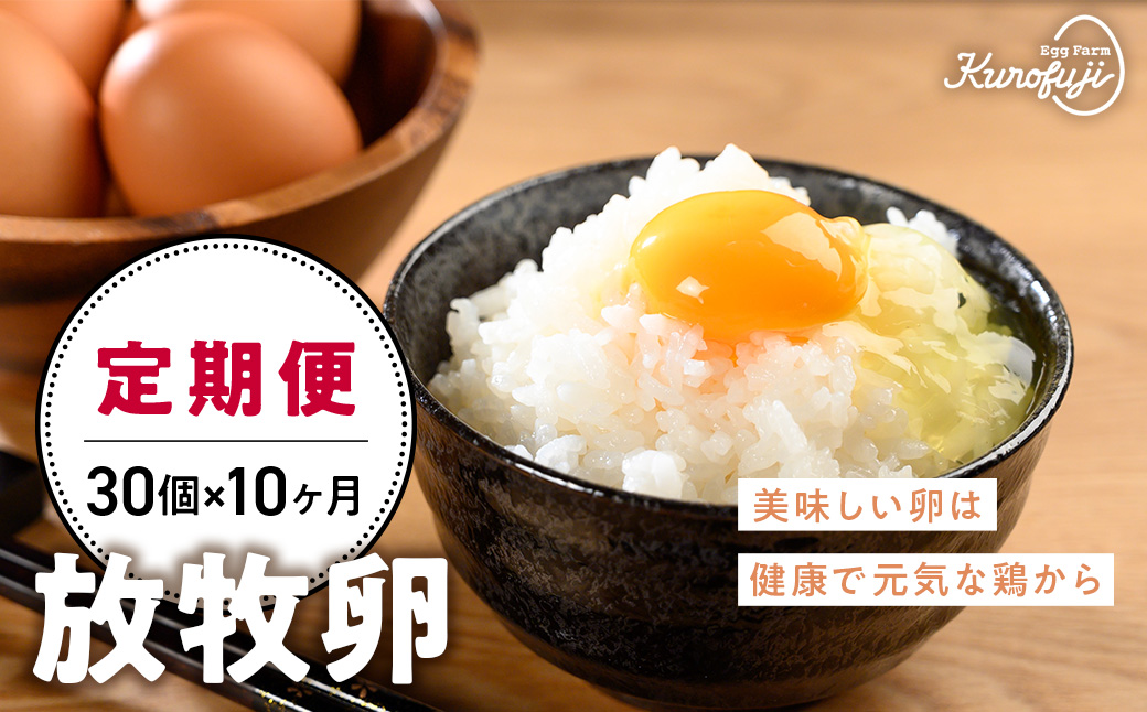 食べ比べ】烏骨鶏卵（6個）と赤玉卵（10個）NANTAIファーム2種の