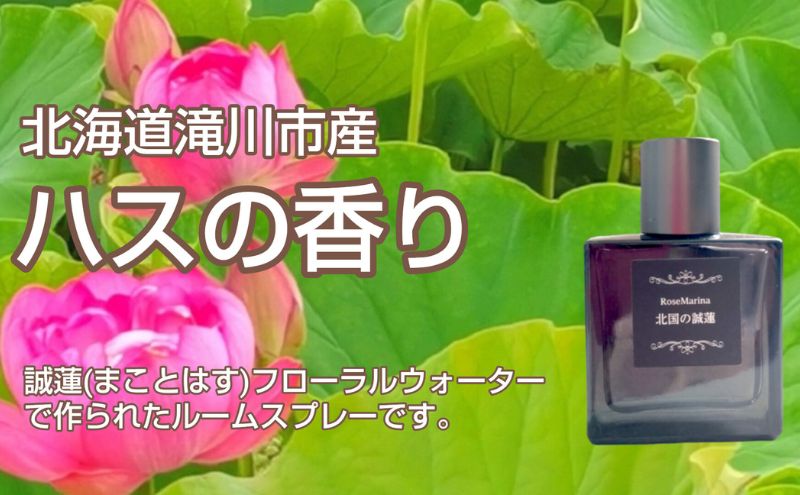ykCszk̐@ sY nX̂Ԃ̍ F̃[Xv[ 40ml Xv[ @ nX ͂  F  Mtg v[g ̓ p  kC s