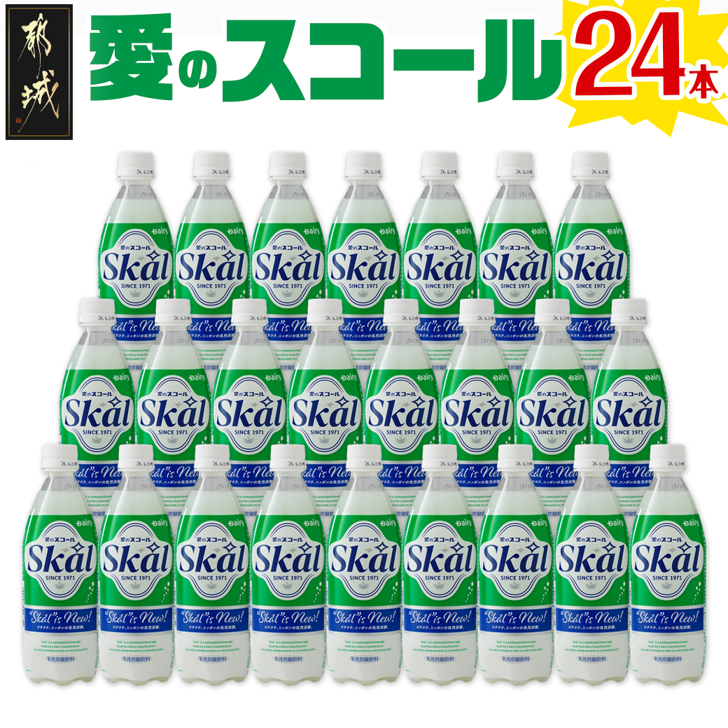 愛のスコール 500ml×24本