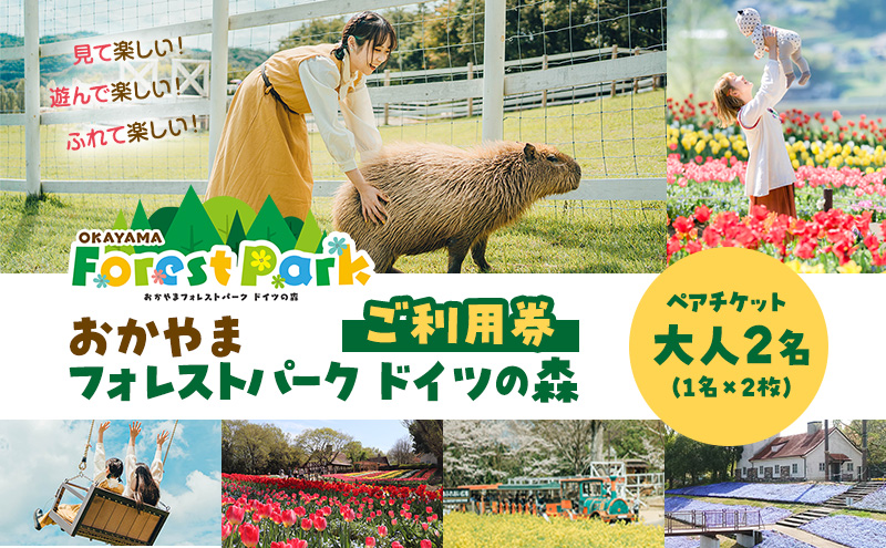 【岡山県赤磐市】おかやまフォレストパーク ドイツの森 ペア 大人2名(1名×2枚) ご利用券 岡山県 赤磐市 チケット 体験