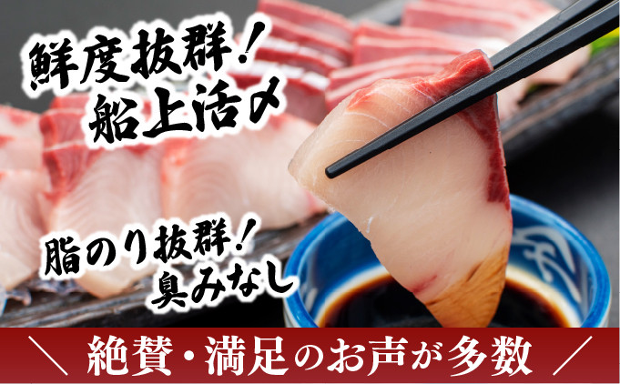 宮崎県串間市のふるさと納税 KU281-2502  ＜2025年2月発送分＞活じめ！黒瀬ぶりの生鮮ブリロイン2節（1.0kg前後）