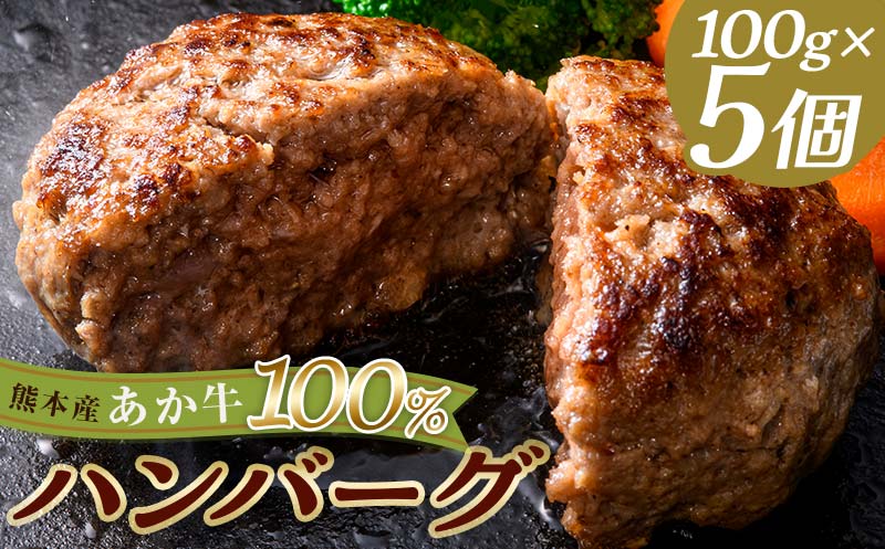 【熊本県嘉島町】FKK19-998_あか牛100%ハンバーグ(100g×5個)牛 ハンバーグ 牛肉 ビーフ 肉 食品