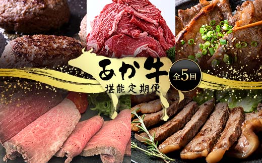 【熊本県嘉島町】FK7-0005_あか牛堪能定期便 全5回 サーロイン ステーキ ハンバーグ 味付けカルビ ローストビーフ 切り落とし あか牛 肉 牛肉