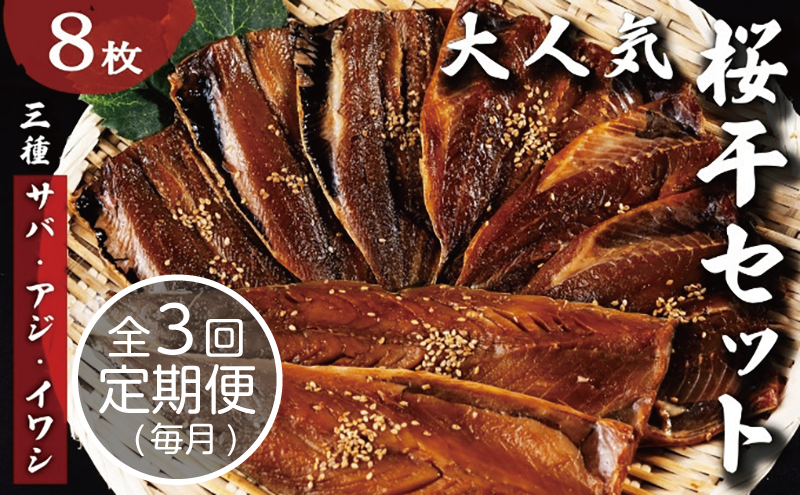 【京都府宮津市】【毎月定期便】3ヶ月届く!やまいち大人気桜干セット 3カ月連続 やまいち 桜干 魚貝類 干物 醤油漬け たまり醤油 オリジナル 出汁 京都 日本海 アジ イワシ
