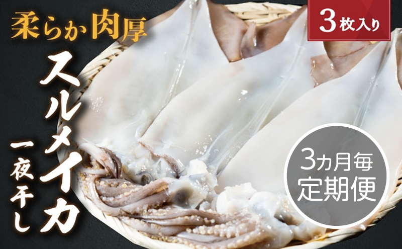 【京都府宮津市】【3ヵ月毎定期便 全4回】日本海産 柔らか肉厚のスルメイカ一夜干し(大)3枚  魚貝類 イカ いか スルメイカ お酒 つまみ 特大 新鮮 保存 冷凍 国産 酒の肴 酒のつまみ