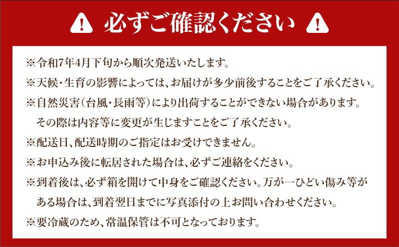 宮崎県日南市のふるさと納税 期間限定 数量限定 みやざき 完熟マンゴー 2～3玉 フルーツ 果物 国産 3L 2L 2025年 贅沢 ご褒美 食品 人気 デザート おやつ 産地直送 おすすめ ギフト プレゼント 贈り物 贈答 お祝い 宮崎 日南市 送料無料_DA33-24