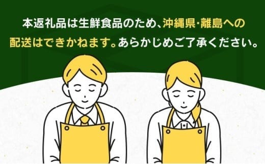 宮崎県日南市のふるさと納税 期間限定 数量限定 みやざき 完熟マンゴー 2～3玉 フルーツ 果物 国産 3L 2L 2025年 贅沢 ご褒美 食品 人気 デザート おやつ 産地直送 おすすめ ギフト プレゼント 贈り物 贈答 お祝い 宮崎 日南市 送料無料_DA33-24