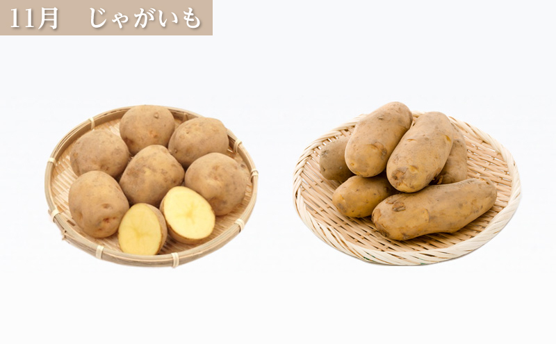十勝幕別の定期便 旬野菜 年4回お届け(北海道幕別町 十勝幕別の定期便 旬野菜 年4回お届け(北海道幕別町