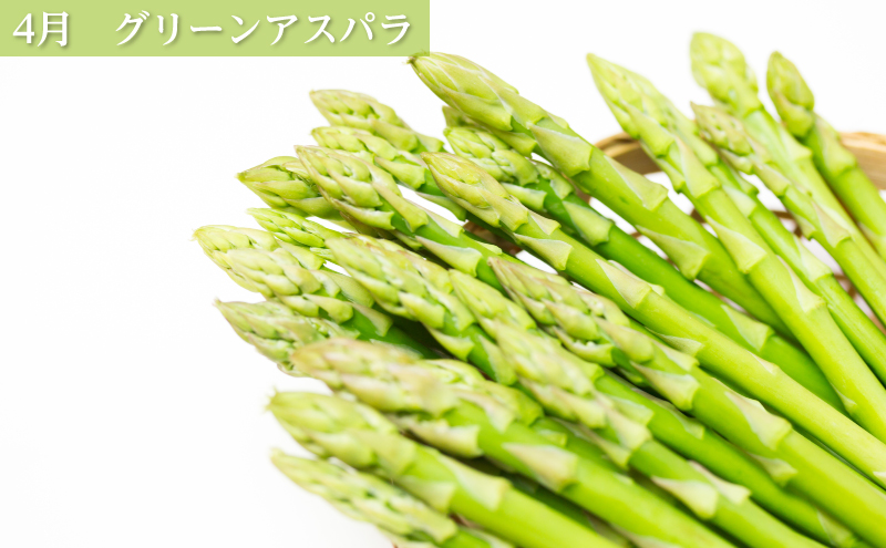 十勝幕別の定期便 お楽しみコース年6回お届け 加工食品 乳製品 十勝幕別の定期便 お楽しみコース年6回お届け 加工食品 乳製品