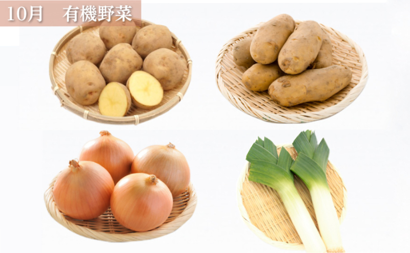 十勝幕別の定期便 お楽しみコース年6回お届け 加工食品 乳製品 十勝幕別の定期便 お楽しみコース年6回お届け 加工食品 乳製品