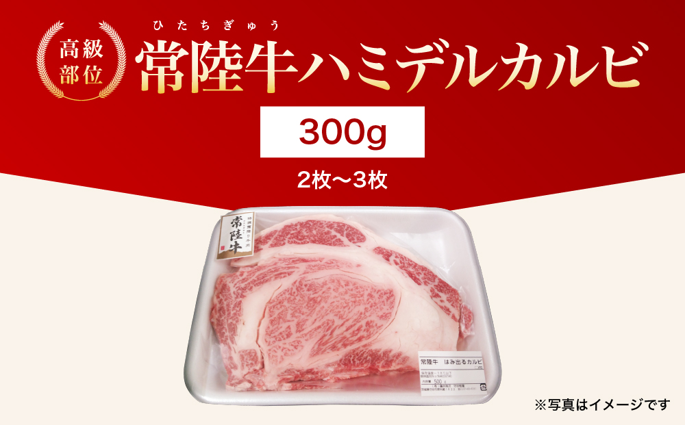 【茨城県常総市】【茨城県共通返礼品】茨城県産 ハミデルカルビ300g