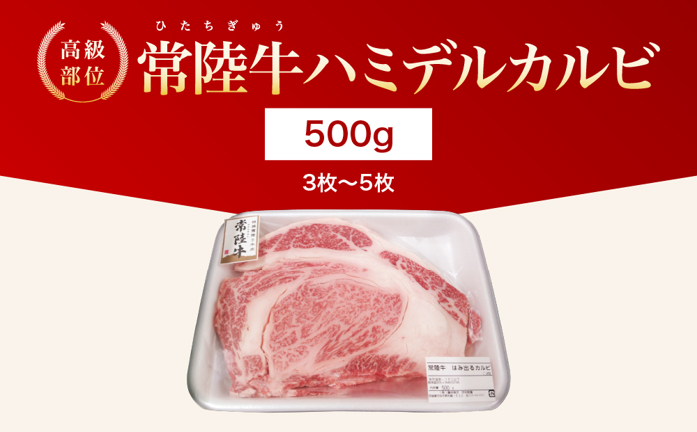 y錧푍szy錧ʕԗiz錧Y n~fJr500g