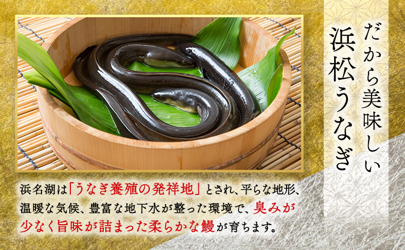 静岡県浜松市のふるさと納税 お食事券 うなぎ 浜松市25店舗で使える 3000円 食事券 補助券 チケット レストラン 料理屋 鰻 ウナギ 丑の日 静岡 静岡県 浜松市