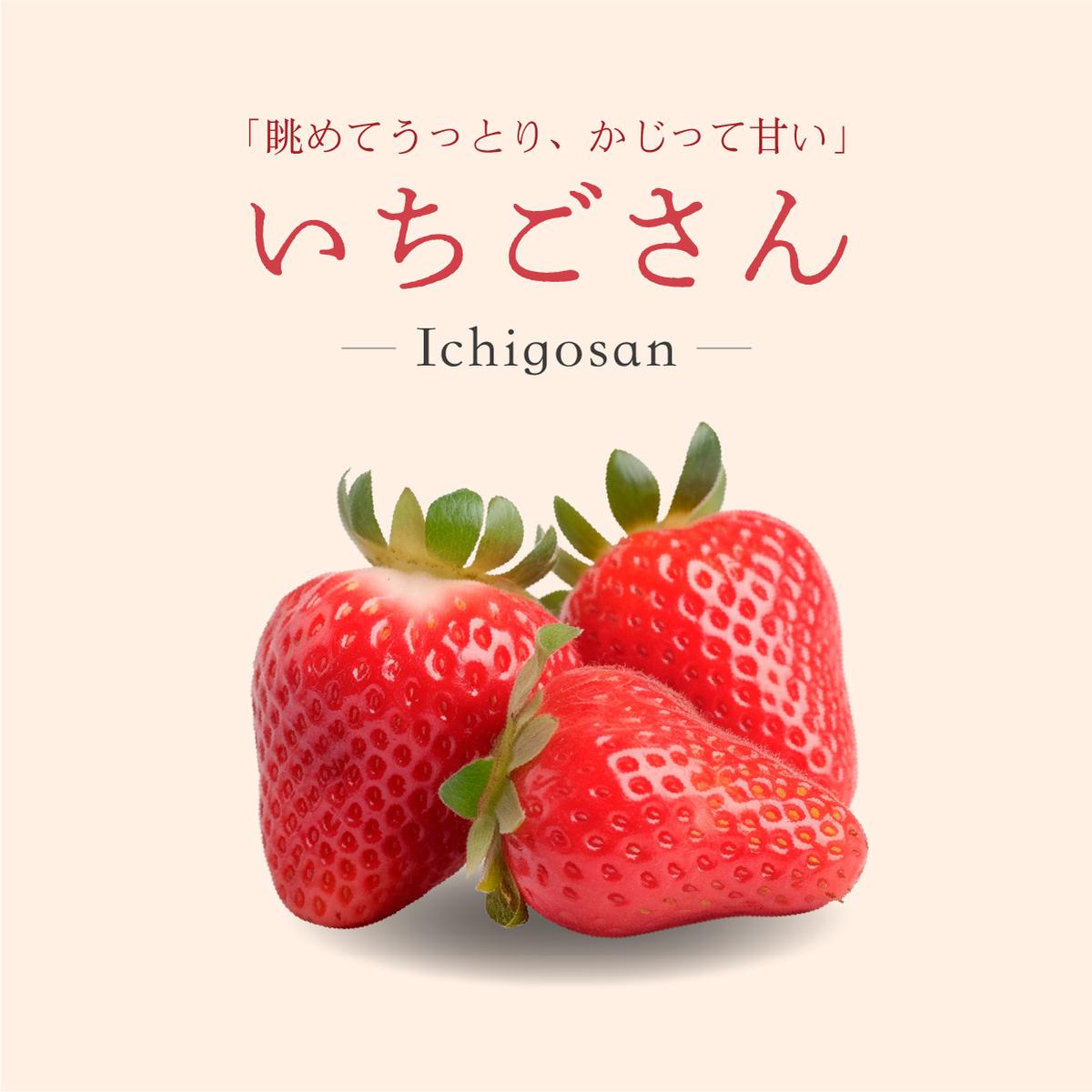 佐賀県大町町のふるさと納税 いちごさん 880g (220g×4p)