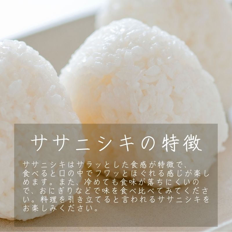 ヤマチョウのごはん パックご飯 玄米 黒米ブレンドごはん 200g×5 ヤマチョウのごはん パックご飯 玄米 黒米ブレンドごはん 200g×5