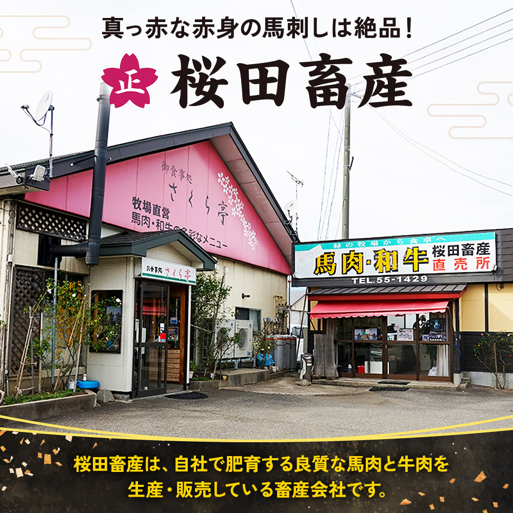 秋田県三種町のふるさと納税 【復活！】秋田県三種町産 馬刺ブロック 約300g《冷凍》馬刺し