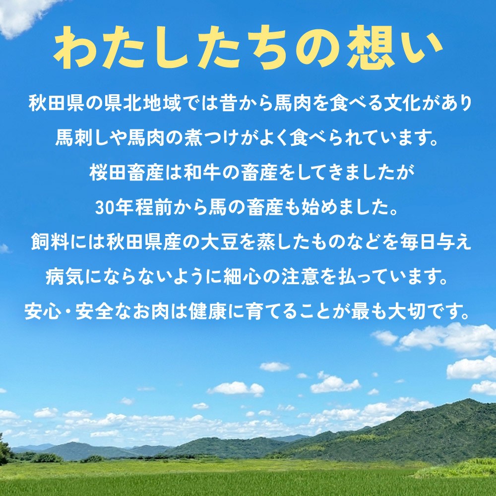 秋田県三種町のふるさと納税 【復活！】秋田県三種町産 馬刺ブロック 約300g《冷凍》馬刺し