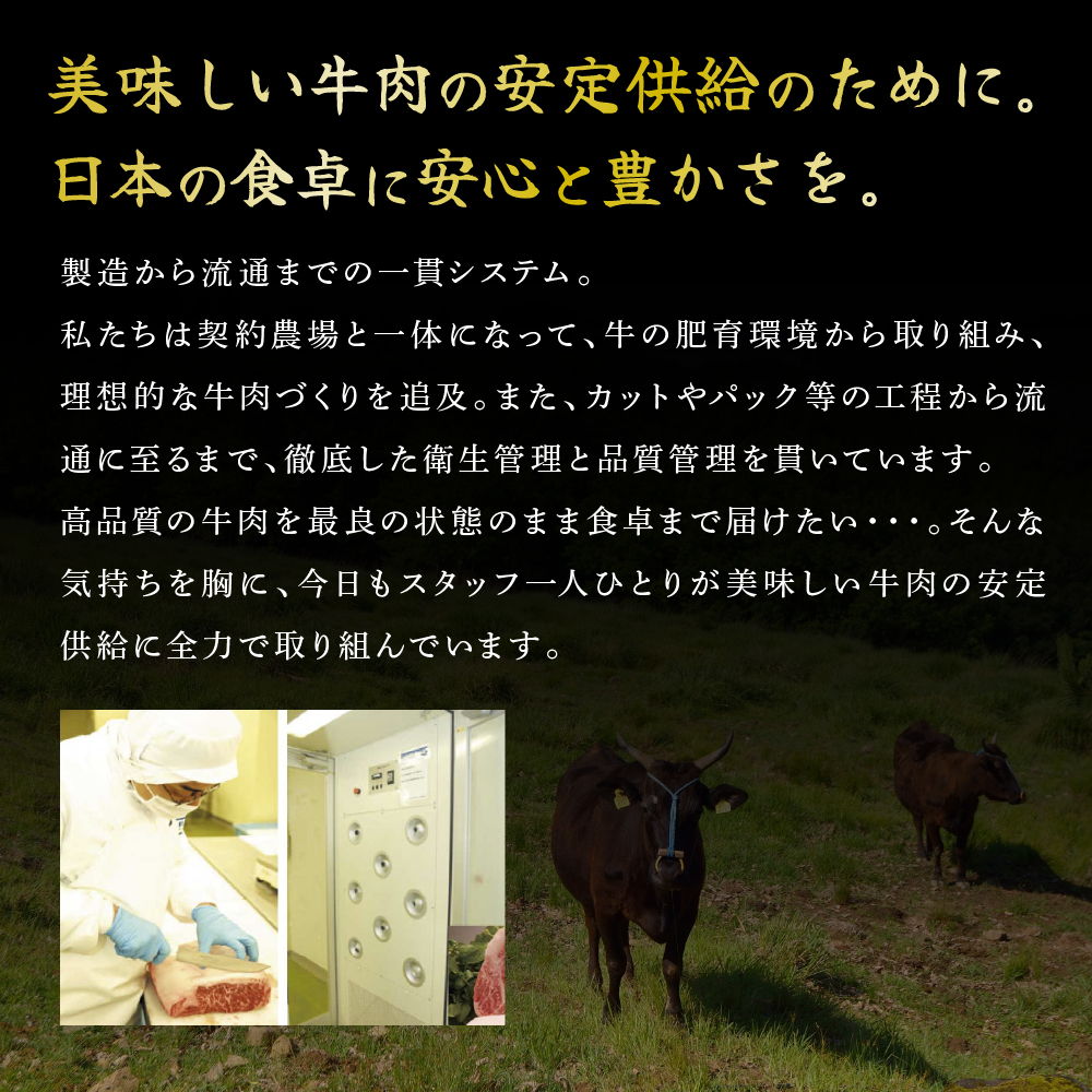 兵庫県加西市のふるさと納税 神戸牛 焼き肉用 2種 食べ比べセット Bセット 1kg (500g×2) 肩 もも肉 セット 詰め合わせ A4ランク A5ランク 牛肉 牛 お肉 肉 ブランド牛 和牛 神戸ビーフ 但馬牛 焼肉セット 焼き肉 アウトドア キャンプ 食べ比べ 国産