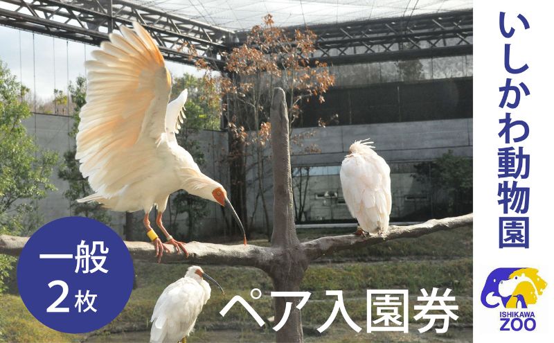 【石川県能美市】チケット いしかわ動物園ペア入園券(一般)石川県 能美市