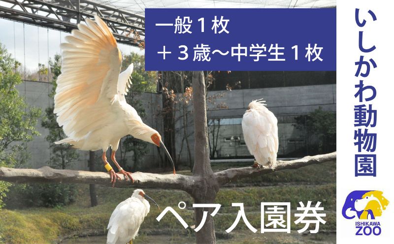 【石川県能美市】チケット いしかわ動物園ペア入園券(一般+3歳以上中学生以下)石川県 能美市