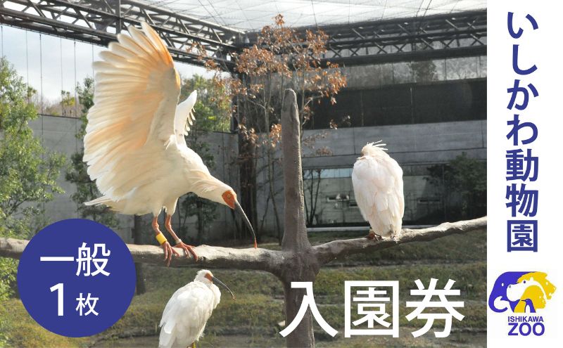 【石川県能美市】チケット いしかわ動物園入園券(一般)石川県 能美市