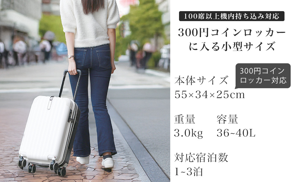 福岡県大木町のふるさと納税 [PROEVO]ファスナーキャリー スーツケース ストッパー付き 機内持ち込み Sサイズ (エンボス/ガンメタリック) [10002S] 福岡県 大木町 株式会社 レクサス AY335