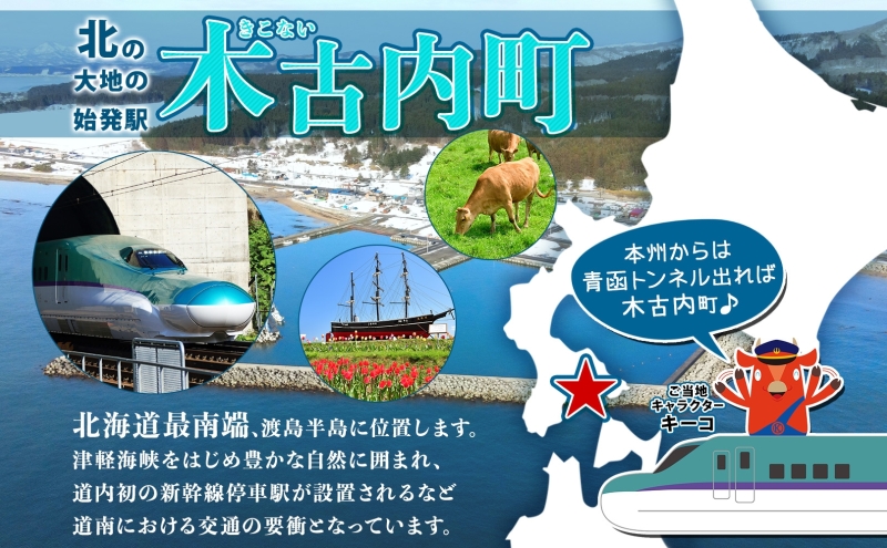 北海道木古内町のふるさと納税 【道南いさりび鉄道】いさ鉄線内が1日乗り降り自由「いさりび1日きっぷ」と沿線自治体のロゴマーク・ゆるキャラプリント駅名 キーホルダー 3個セット　切符 鉄道 北海道