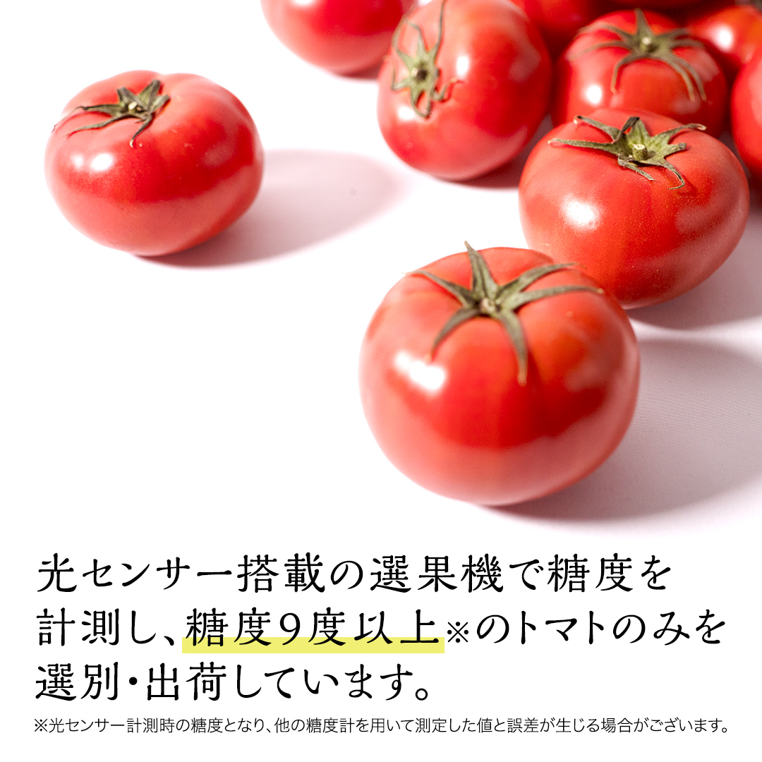 茨城県筑西市のふるさと納税  てるて姫 小箱 約800g × 1箱 【7～13玉/1箱】 てるてひめ 糖度9度 以上 スーパーフルーツトマト 野菜 フルーツトマト フルーツ トマト とまと [AF070ci]