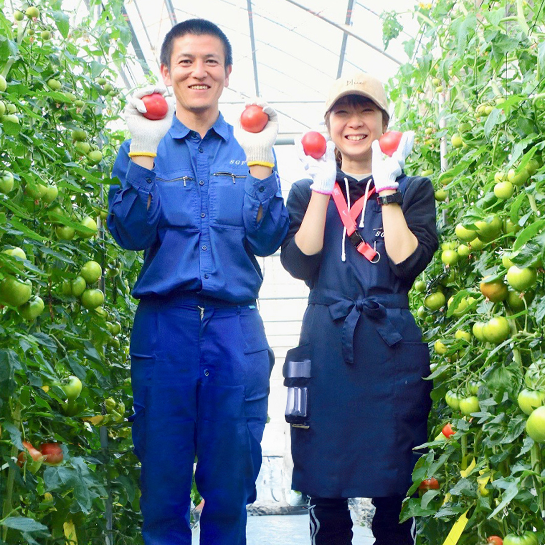 茨城県筑西市のふるさと納税  てるて姫 小箱 約800g × 1箱 【7～13玉/1箱】 てるてひめ 糖度9度 以上 スーパーフルーツトマト 野菜 フルーツトマト フルーツ トマト とまと [AF070ci]