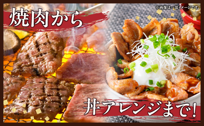 宮崎県日南市のふるさと納税 宮崎牛 宮崎県産豚 焼肉 セット 合計1.5kg 数量限定 肉 牛肉 豚肉 豚バラ 国産 食品 A4 A5 黒毛和牛 和牛 肩ロース モモ ウデ 豚肩ロース バーベキュー BBQ アウトドア おかず お弁当 ご褒美 お祝 記念日 贈り物 ギフト 贈答 冷凍 宮崎県 日南市 送料無料_DC25-24