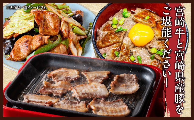 宮崎県日南市のふるさと納税 宮崎牛 宮崎県産豚 焼肉 セット 合計1.5kg 数量限定 肉 牛肉 豚肉 豚バラ 国産 食品 A4 A5 黒毛和牛 和牛 肩ロース モモ ウデ 豚肩ロース バーベキュー BBQ アウトドア おかず お弁当 ご褒美 お祝 記念日 贈り物 ギフト 贈答 冷凍 宮崎県 日南市 送料無料_DC25-24