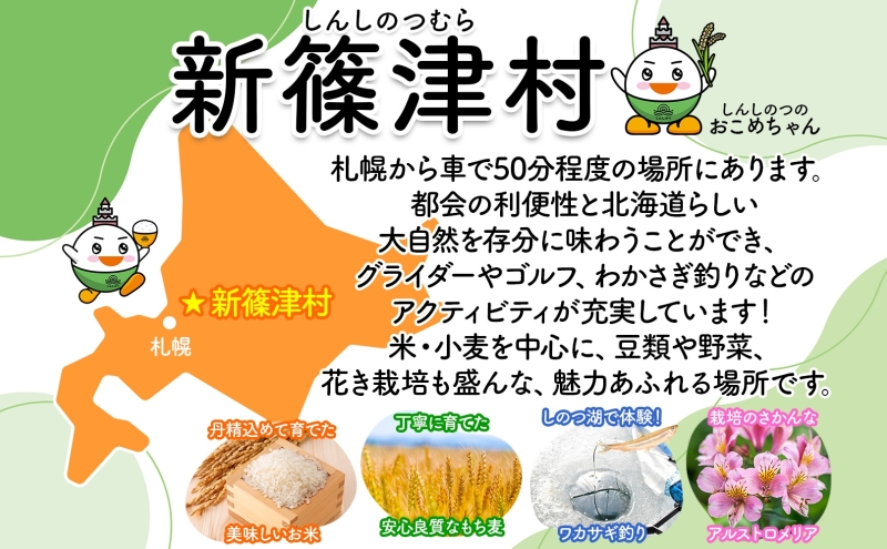 北海道新篠津村のふるさと納税 ファーム田中屋の生蕎麦150g×2 つゆ80g×2 そば 蕎麦 麺類 蕎麦粉 蕎麦湯 冷凍 のど越し 打ち粉 温そば 冷そば ざるそば 新篠津村 有機農業 石臼 つゆ付き 贈答 ギフト 贈り物  引っ越し 年越し蕎麦 北海道 新篠津