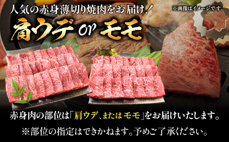 宮崎県日南市のふるさと納税 【令和7年6月配送】数量限定 厳選 宮崎牛 赤身 薄切り焼肉 計1kg 肉 牛肉 国産 焼き肉 BBQ 鉄板焼き バーベキュー 人気 おすすめ 黒毛和牛 ブランド和牛 肩ウデ モモ A4 A5 等級 ギフト 贈り物 贈答 小分け 食品 宮崎県 日南市 送料無料_CV3-24-06