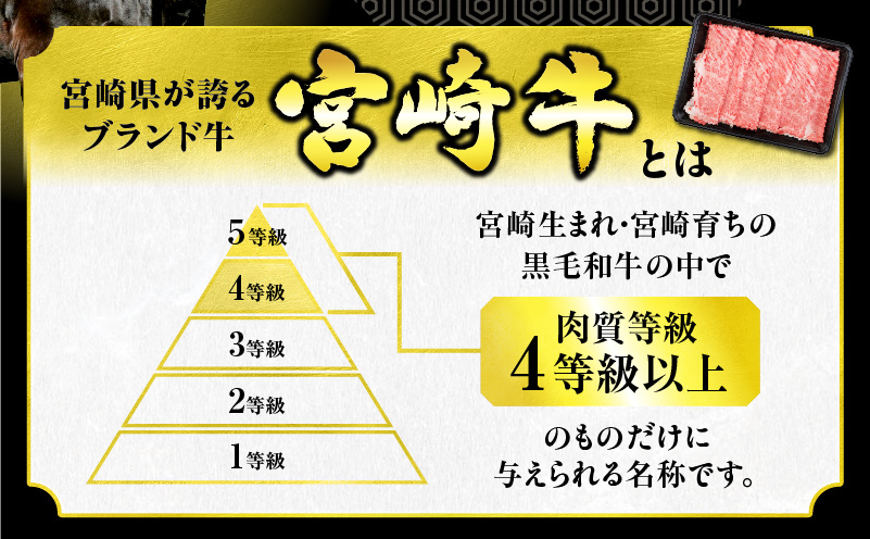 宮崎県日南市のふるさと納税 【令和7年6月配送】数量限定 厳選 宮崎牛 赤身 薄切り焼肉 計1kg 肉 牛肉 国産 焼き肉 BBQ 鉄板焼き バーベキュー 人気 おすすめ 黒毛和牛 ブランド和牛 肩ウデ モモ A4 A5 等級 ギフト 贈り物 贈答 小分け 食品 宮崎県 日南市 送料無料_CV3-24-06