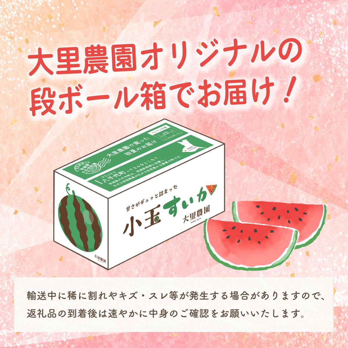 茨城県八千代町のふるさと納税 【 先行予約 2025年7月上旬以降発送 】八千代町産　小玉スイカ 姫甘泉ブラック 1箱（2玉入） 黒皮 すいか [SF004ya]