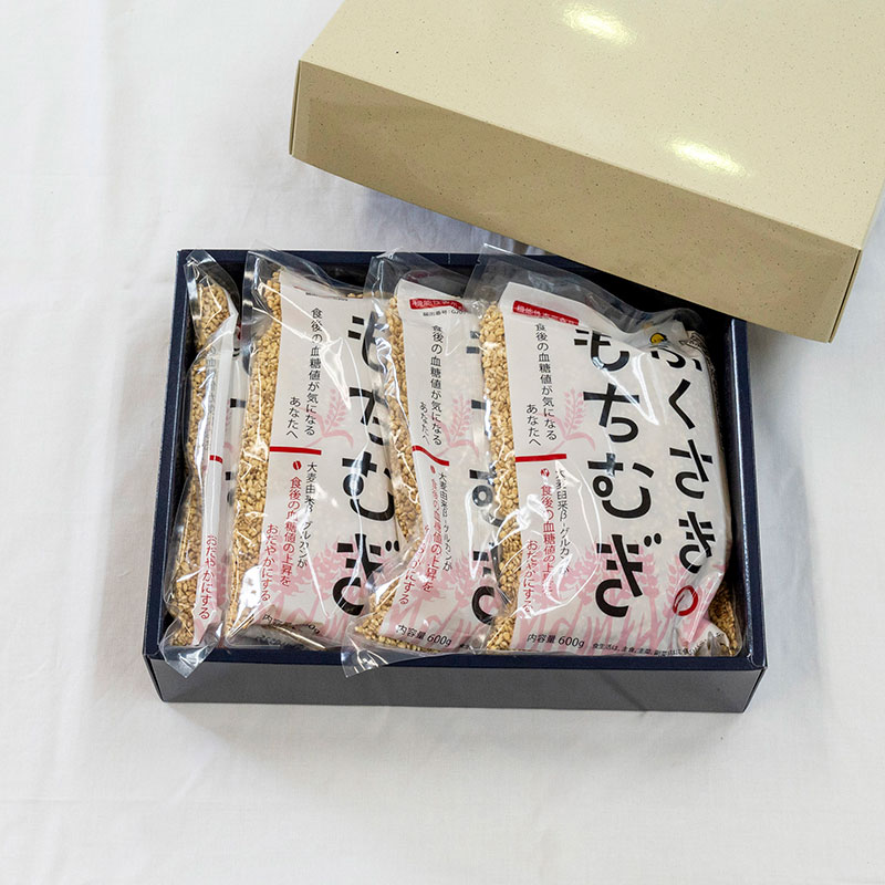 【兵庫県福崎町】もちむぎ精麦2.4kg(600g×4袋)小分け もちむぎ 雑穀 五つ星ひょうご選定商品